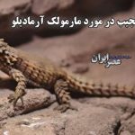 انتقاد تند فرزند پورحیدری از داوری دربی؛ «داور حریف قدرتمندی برای استقلال بود»