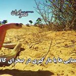 گام بزرگ توسعه ۵G در کشور برداشته شد