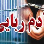 تشریح جزئیات روحانی ربوده‌شده در ایرانشهر؛ مهاجمان مسلح بودند