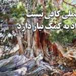 آیا استفاده از روغن موتور غلیظ‌تر برای خودروهای کارکرده تصمیم درستی است؟