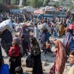 حرف دل یا حرف عقل در برخورد با افغانستانی‌ها‌