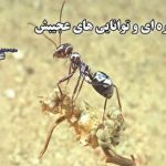 موفقیت بزرگ ترکیه در تولید و صادرات جت بومی مافوق صوت: قرارداد 1.3 میلیارد یورویی با اسپانیا