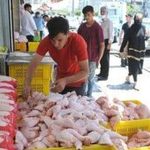 دلیل پرواز قیمت مرغ از زبان آقای وزیر