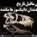 تشعشعات خطرناک آیفون؛ گوشی قدیمی اپل به‌طور غیرمنتظره آپدیت شد