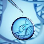 کند کردن روند پیری با رپامایسین: محافظت از DNA و تقویت سیستم ایمنی