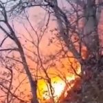 گریه‌های جنگلبانان هنگام سوختن جنگل هیرکانی