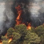 کفش ریباک به مناسبت سی‌امین سالگرد پلی‌استیشن رونمایی شد / تجربه‌ای با حس دستیابی به یک جایزه افسانه‌ای! (فیلم)