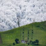 تقابل زمستان و بهار در منطقه املش